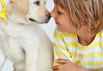 Wie baue ich eine Bindung zu meinem Hund auf?