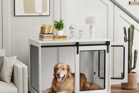 Wie groß sollte ein Hundekäfig sein? Der komplette Leitfaden zur richtigen Größe